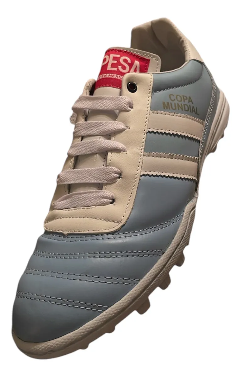 Argentina  / Fútbol Rápido