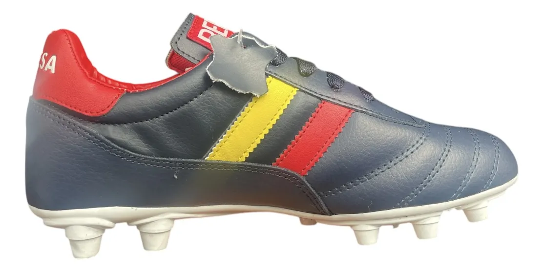 España  / Fútbol Soccer